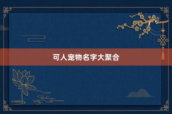 可人宠物名字大聚合