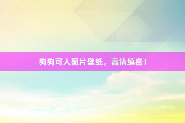 狗狗可人图片壁纸，高清缜密！
