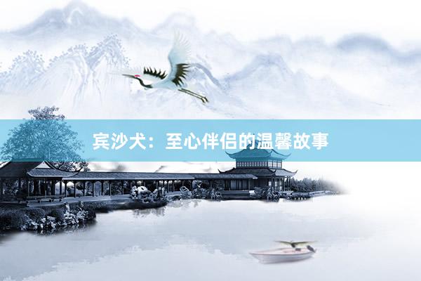 宾沙犬：至心伴侣的温馨故事