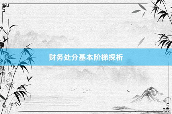 财务处分基本阶梯探析